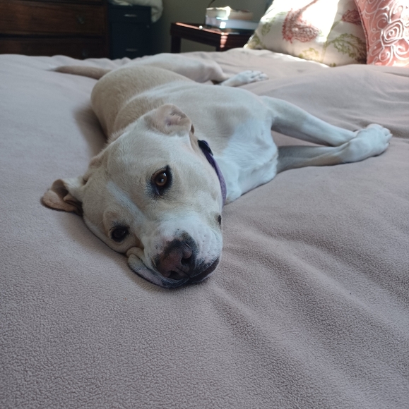 Meet your Posher, Nick - Picture 3 of 3